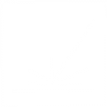 laser-icon-ridix-landing laser-icon-ridix-landing